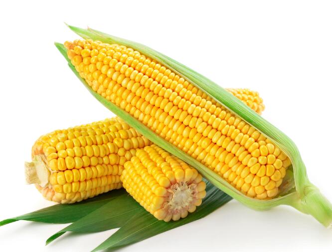 鮮玉米冷庫儲存技術(shù)，玉米棒是帶皮還是不帶皮儲存？